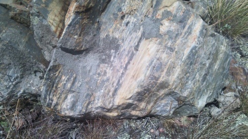 Гигантские зелёные валуны для ландшафтного дизайна весом более 5 тонн купить в Лысьве